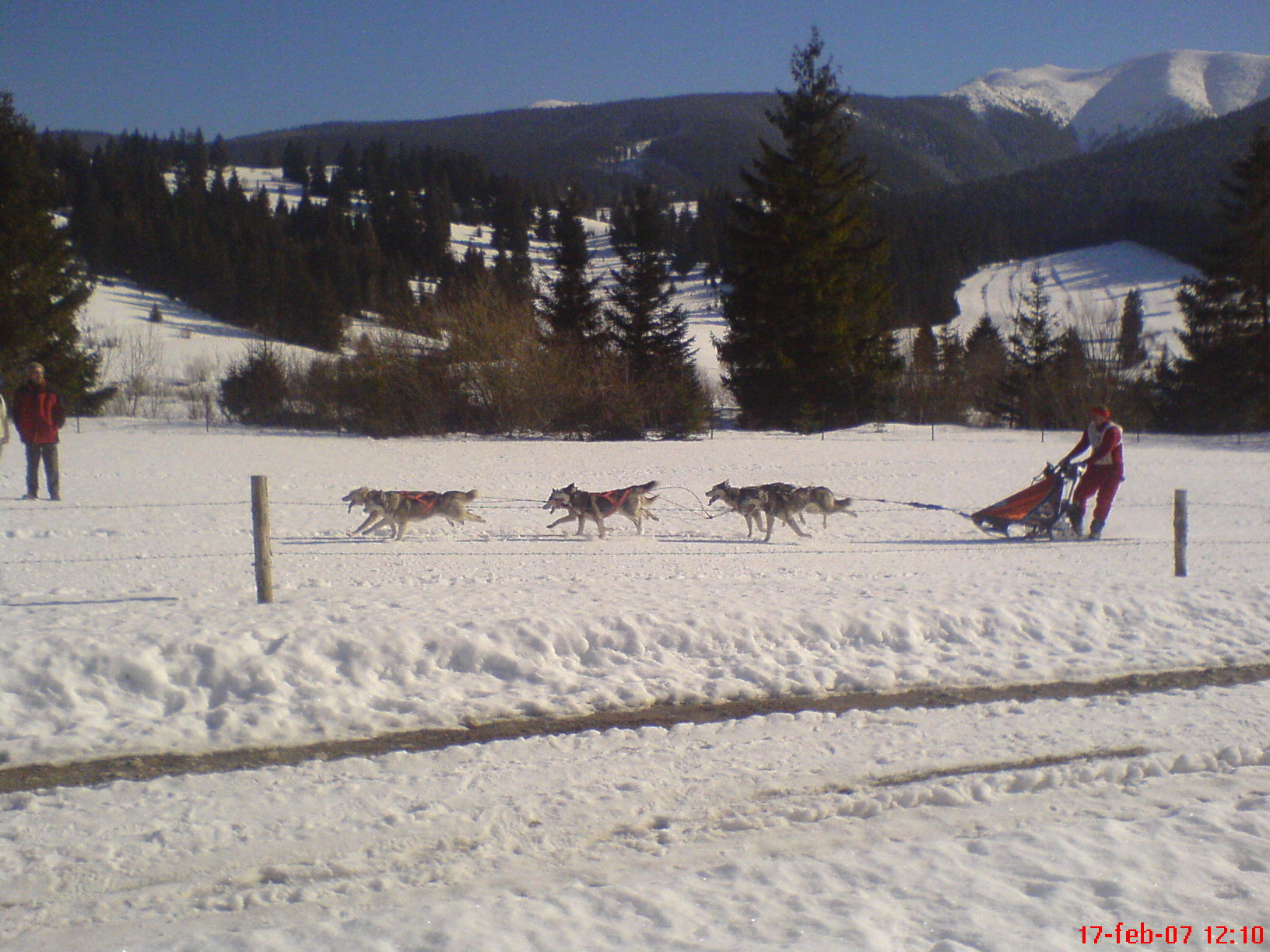 Picture 008.jpg